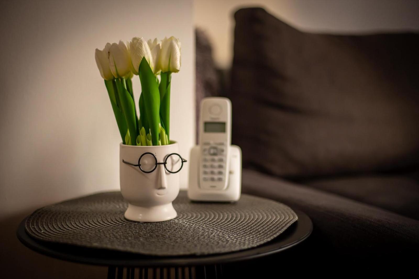 Apartman Elly Slavonski Brod Dış mekan fotoğraf