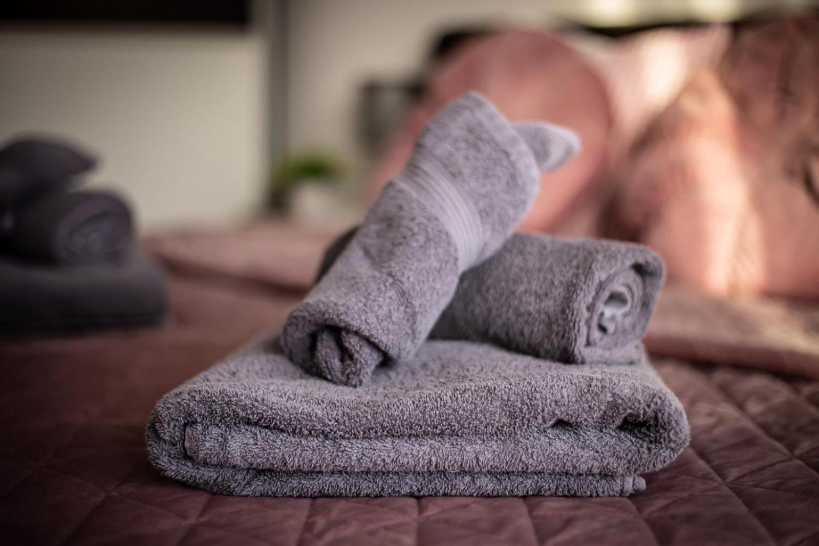 Apartman Elly Slavonski Brod Dış mekan fotoğraf
