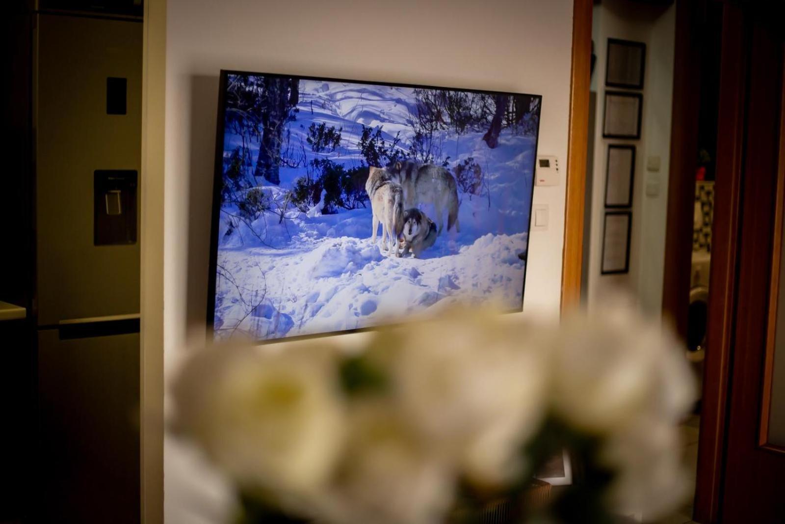 Apartman Elly Slavonski Brod Dış mekan fotoğraf